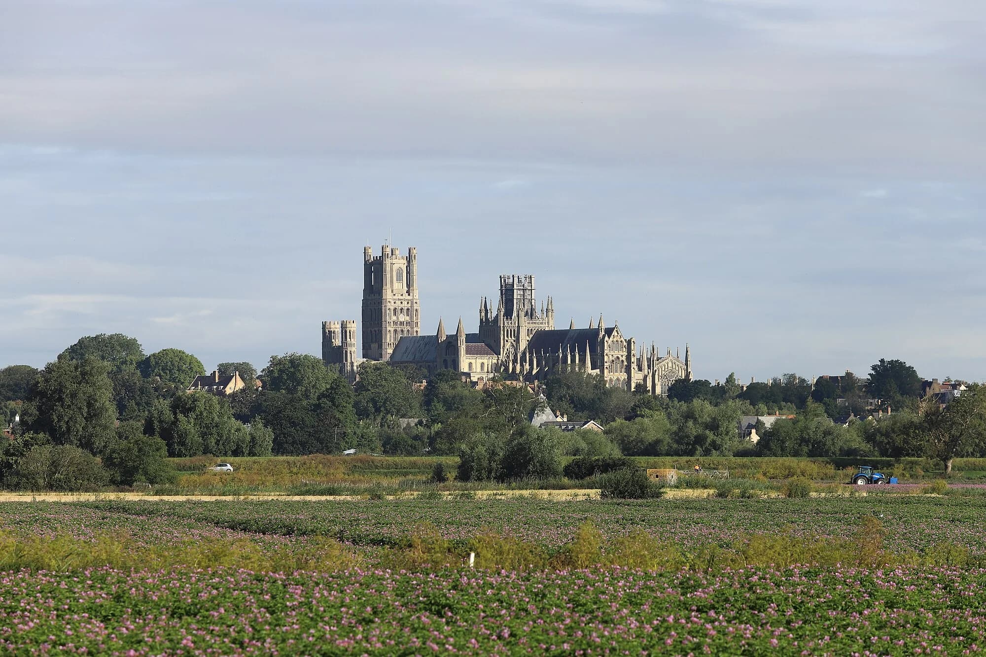 Vets in Cambridgeshire